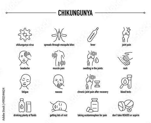 Chikungunya symptoms, diagnostic and treatment vector icon set