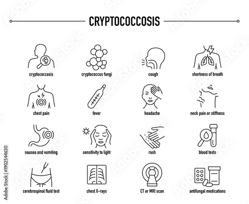 Cryptococcosis symptoms, diagnostic and treatment vector icon set