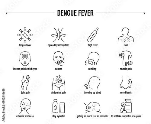 Dengue Fever symptoms, diagnostic and treatment vector icon set