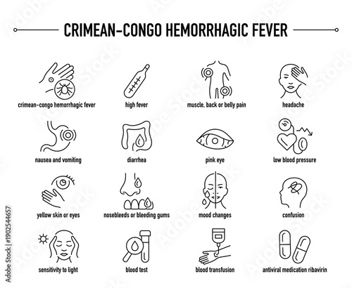 Crimean-Congo Hemorrhagic Fever symptoms, diagnostic and treatment vector icon set
