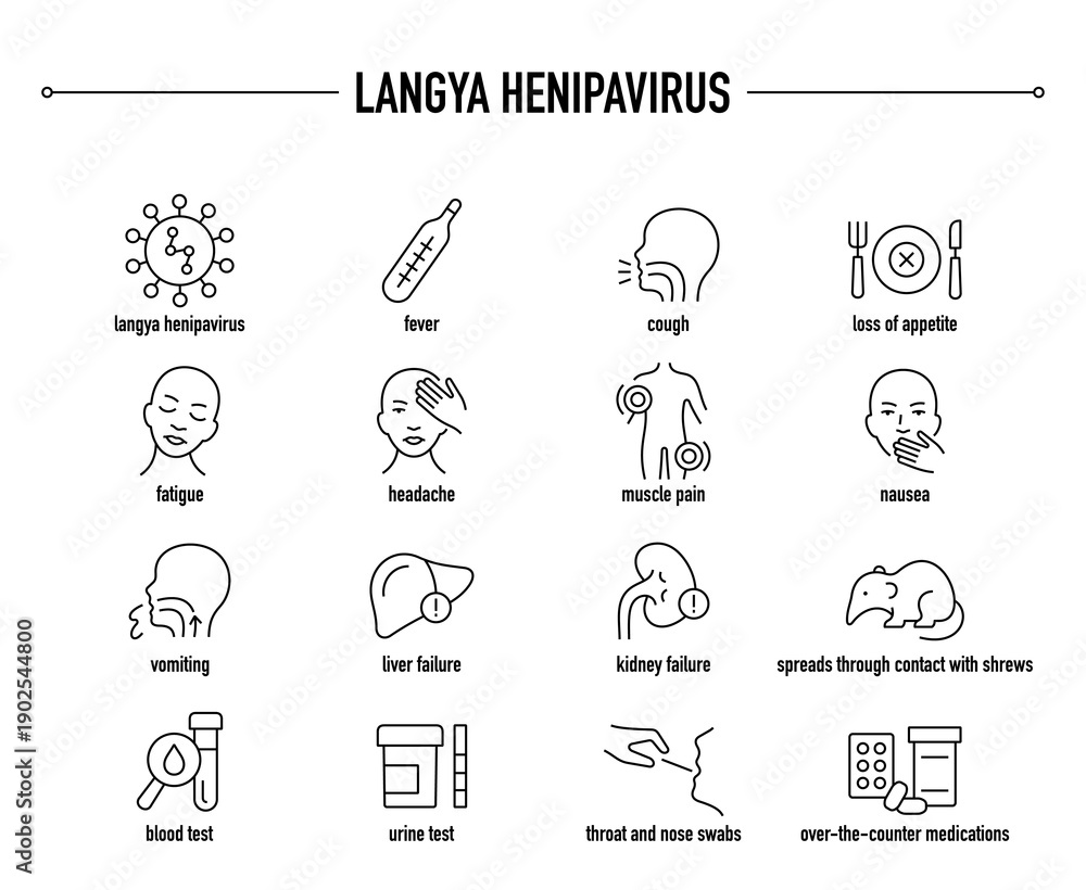 Fototapeta premium Langya Henipavirus symptoms, diagnostic and treatment vector icon set