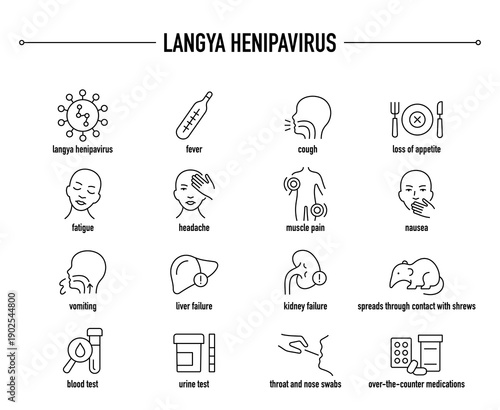 Langya Henipavirus symptoms, diagnostic and treatment vector icon set