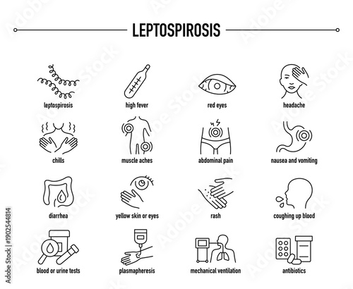 Leptospirosis symptoms, diagnostic and treatment vector icon set