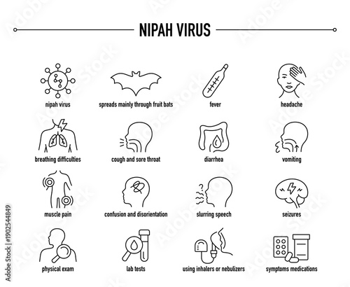 Nipah Virus symptoms, diagnostic and treatment vector icon set