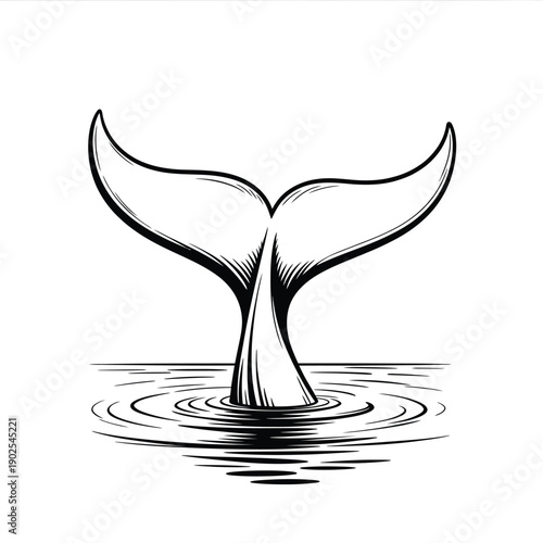 A black and white illustration of a whale s tail emerging from water