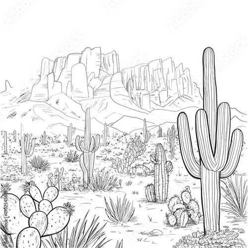 Detailed sketch depicts a desert landscape with cacti and mountains