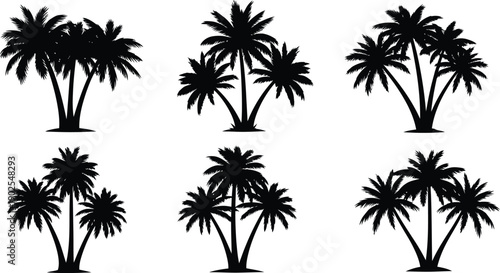Collection of six black silhouette palm trees on white background