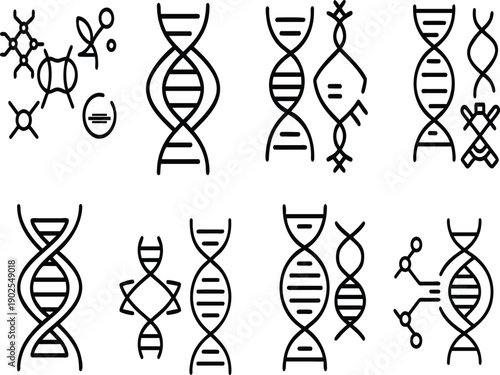 Detailed black and white line art illustration of a DNA double helix, representing the fundamental structure of life