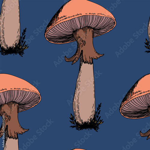 Seamless pattern with mushrooms. Hand drawn vector illustration. Vegan food menu. Poisonous and edible mushroom. Autumn mushroom picking, forest plant sketches.