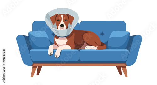 Dog wearing cone relaxing on blue sofa in cozy indoor setting  