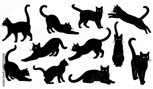 Playful Cat Silhouette Vector Collection with Walking and Jumping Poses