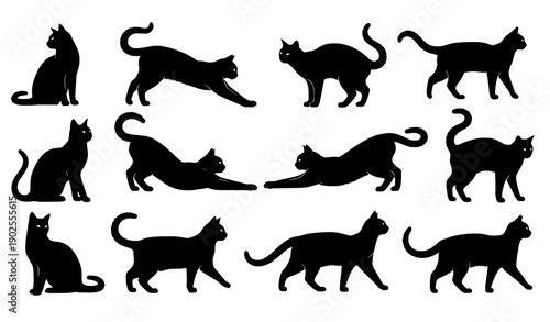 Black Cat Silhouette Vector Set in Sitting and Standing Poses Isolated on White