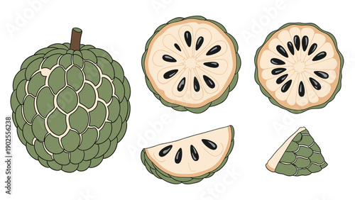 Tropical sugar apple fruit or custard apple presented as a whole fruit and several sliced portions showing the interior.