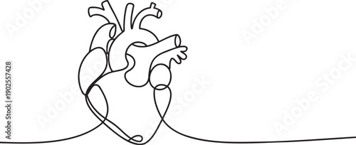 a-minimalist-line-drawing-of-a-human-hea_q_F3P_U_SH2SDomxN6JD0Q_z2fvbVesTS2RE1D0fMBlZg_traced
