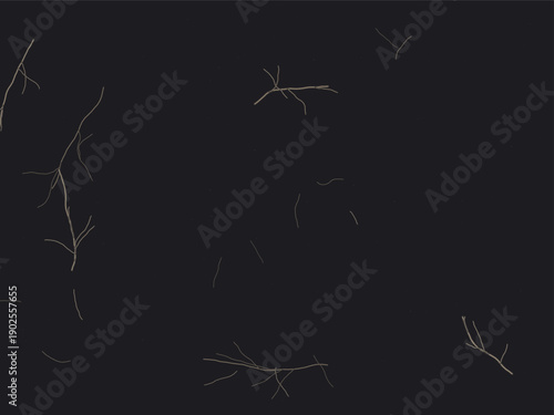 Delicate white spider web strands with dew drops on black background, minimalist nature illustration featuring fine line art and high contrast lighting for elegant design