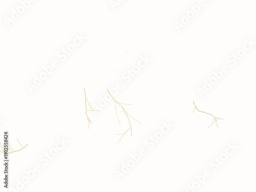 Minimalist golden wheat stalks and grains on soft beige background, delicate hand-drawn botanical illustration with subtle texture and warm natural lighting