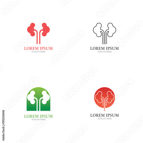 kidney vector illusrtation