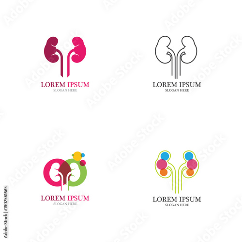 kidney vector illusrtation