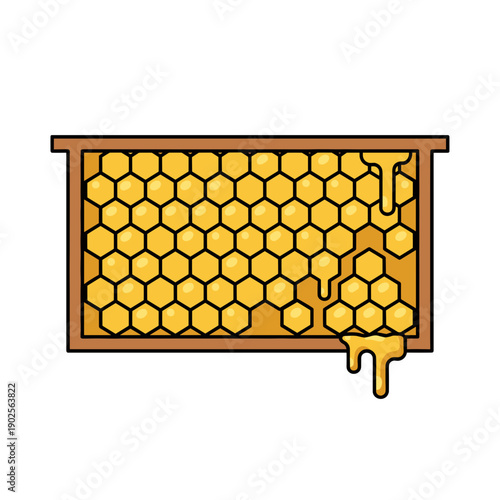 Honeycomb frame with dripping golden honey isolated on white background, concept of beekeeping natural food and sweetness