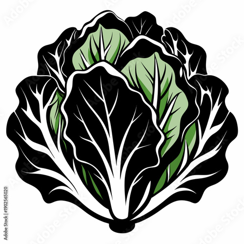 A stylized illustration of a cabbage with green and black leaves