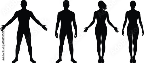 Male and female human body silhouettes in standing front view, anatomy reference figures and people outline templates for medical, fitness and character design illustration