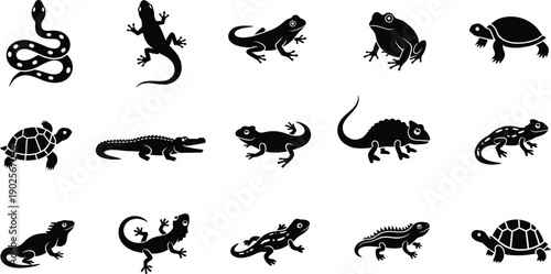 A diverse collection of black silhouette icons depicting various reptiles and amphibians