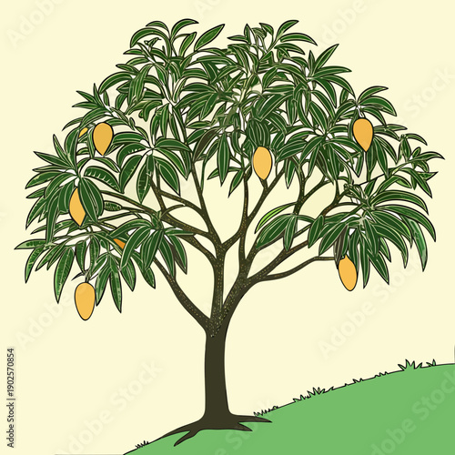 Mango tree with green leaves and yellow fruit on grassy hill