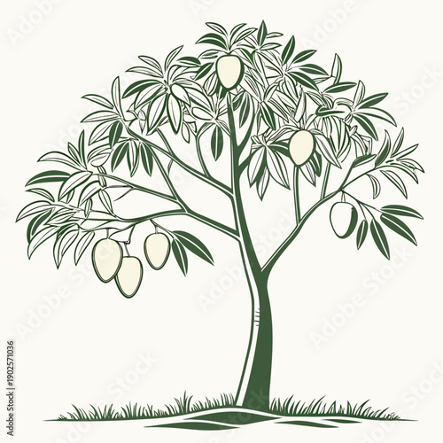 Minimal realistic mango tree with green leaves and fruit