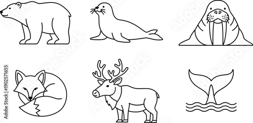Set of simple outline illustrations of Arctic animals perfect for educational materials childrens books or environmental design projects