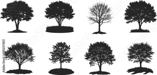 Gave me a title about this photo 'must have 22-25 words' for adobe stock with SEO maintain.