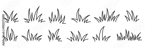 Grass doodle sketch style set. Hand drawn grass field outline scribble background. Sprout, flower, clover elements.