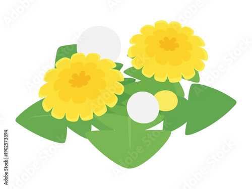 斜め上から見たかわいいタンポポのイラスト素材