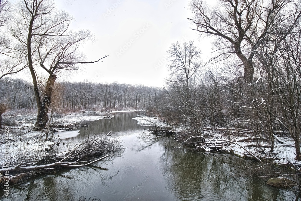 Fototapeta premium Through a snow-covered forest, a small stream flows toward a lake on a cloudy winter day at Wehr Nature Center in Franklin, Wisconsin.