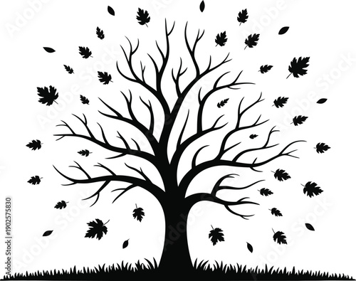 Autumn Tree Shedding Leaves Silhouette