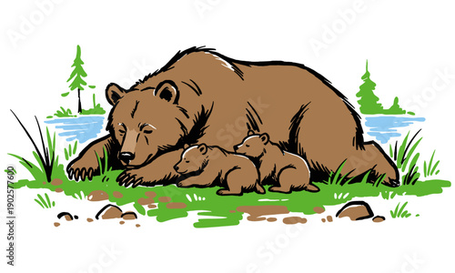 Bear family sleeping artwork for t-shirt. Grizzly bear cub hand drawn vector. Wildlife nature vintage illustration. Outdoors camping graphic design. P