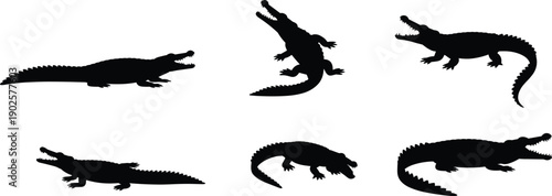 Crocodile and alligator silhouette set showing different poses and movements isolated black vector illustration wildlife reptile design