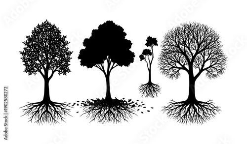 Four Seasons Tree Silhouette Set with Roots and Seasonal Foliage Changes Vector Illustration