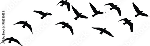 Vector Illustration of Bird Flock Flying in the Sky Silhouette for Nature Wildlife Migration Freedom and Outdoor Environmental Graphic Designs