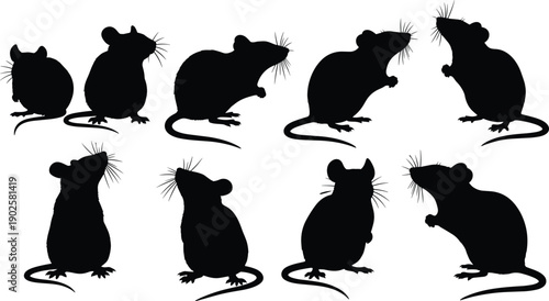 Set of Black Silhouette Vector Illustrations of Nine Diverse Rats and Mice for Pest Control Wildlife Nature and Animal Graphic Designs