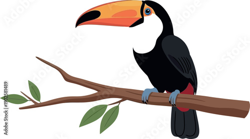 Colorful tropical toucan bird perched calmly upon a sturdy brown tree branch with small green leaves isolated against a plain white background in an illustration style.