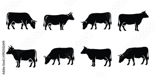 Set of silhouette cow in various poses isolated on background. Animal Vector elements for design.