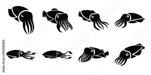 Photography Set of silhouette cuttlefish in various poses isolated on background