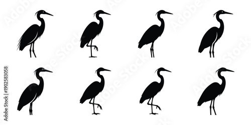 Canvas Print Set of silhouette egret in various poses isolated on background