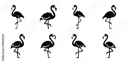 Set of silhouette flamingo in various poses isolated on background. Animal Vector elements for design.