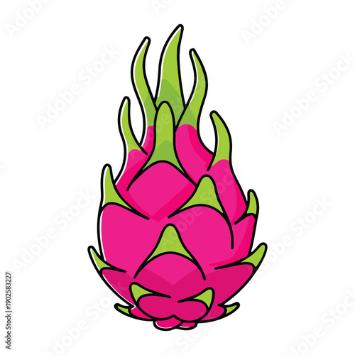 Minimalist dragon fruit pitahaya vector icon isolated