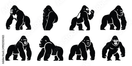 Set of silhouette gorilla in various poses isolated on background. Animal Vector elements for design.