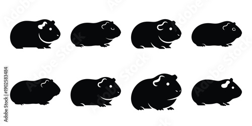 Set of silhouette guinea pig in various poses isolated on background. Animal Vector elements for design.