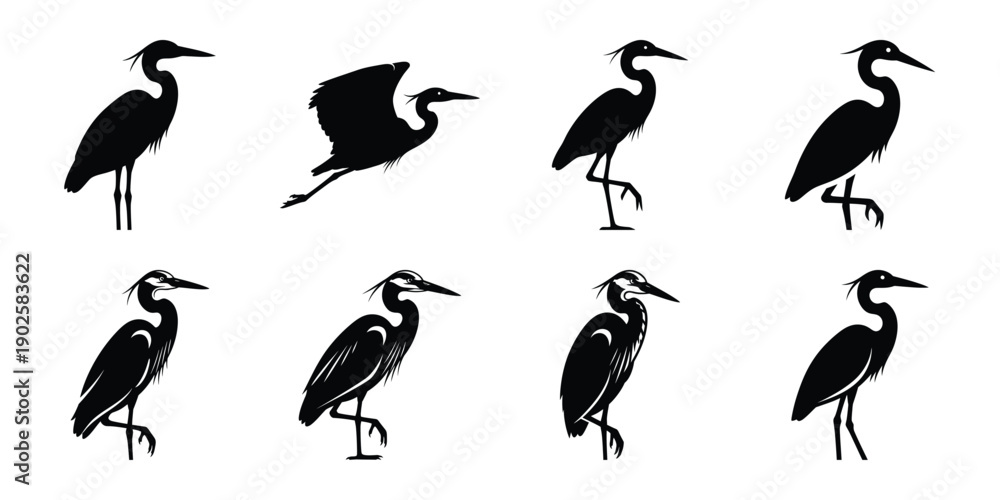 Obraz premium Set of silhouette heron in various poses isolated on background. Animal Vector elements for design.