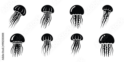 Set of silhouette jellyfish in various poses isolated on background. Animal Vector elements for design.