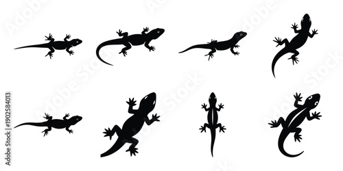 Set of silhouette lizard in various poses isolated on background. Animal Vector elements for design.